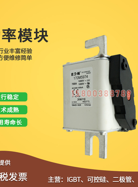 适用170M5974/5975/5981/5982/5983/5984/5985/5986快速保险丝熔