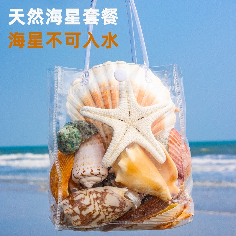 好货天然海螺贝壳海星鱼缸水族箱地台造景装饰摆件儿童生日礼物送