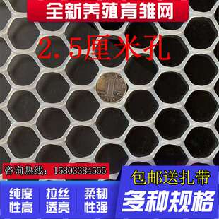 极速。养殖塑料平网育雏漏粪脚踩网鸡鸭鹅苗脚垫网床小鸡保温网片