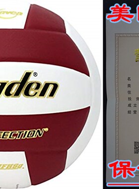 Baden Perfection Leather Volleyball