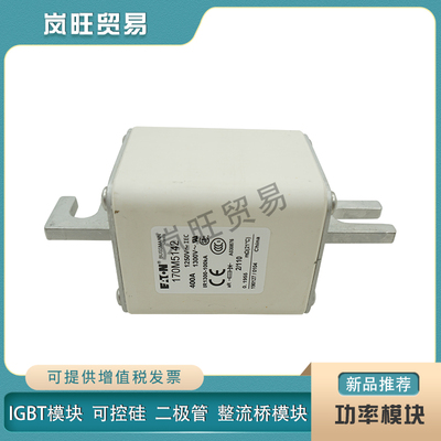 适用伊顿巴斯曼快速熔断器保险丝170M5142 5143 5144 5145 5146 5