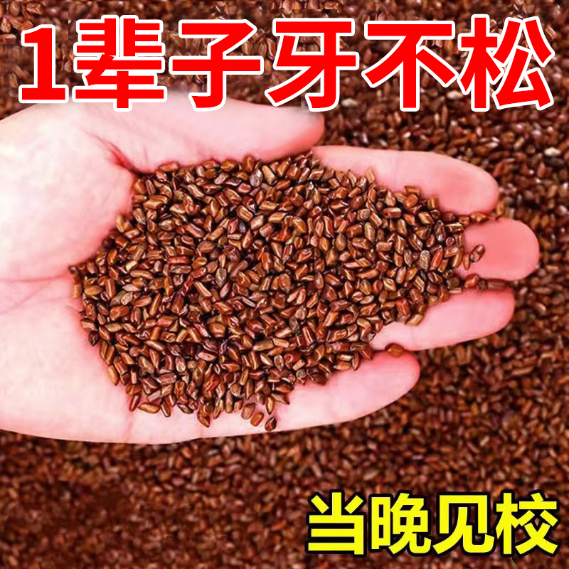 牙齿洁离剂牙齿松动牙龈肿痛萎缩牙痛牙晃动固齿出血护齿牙膏ZY