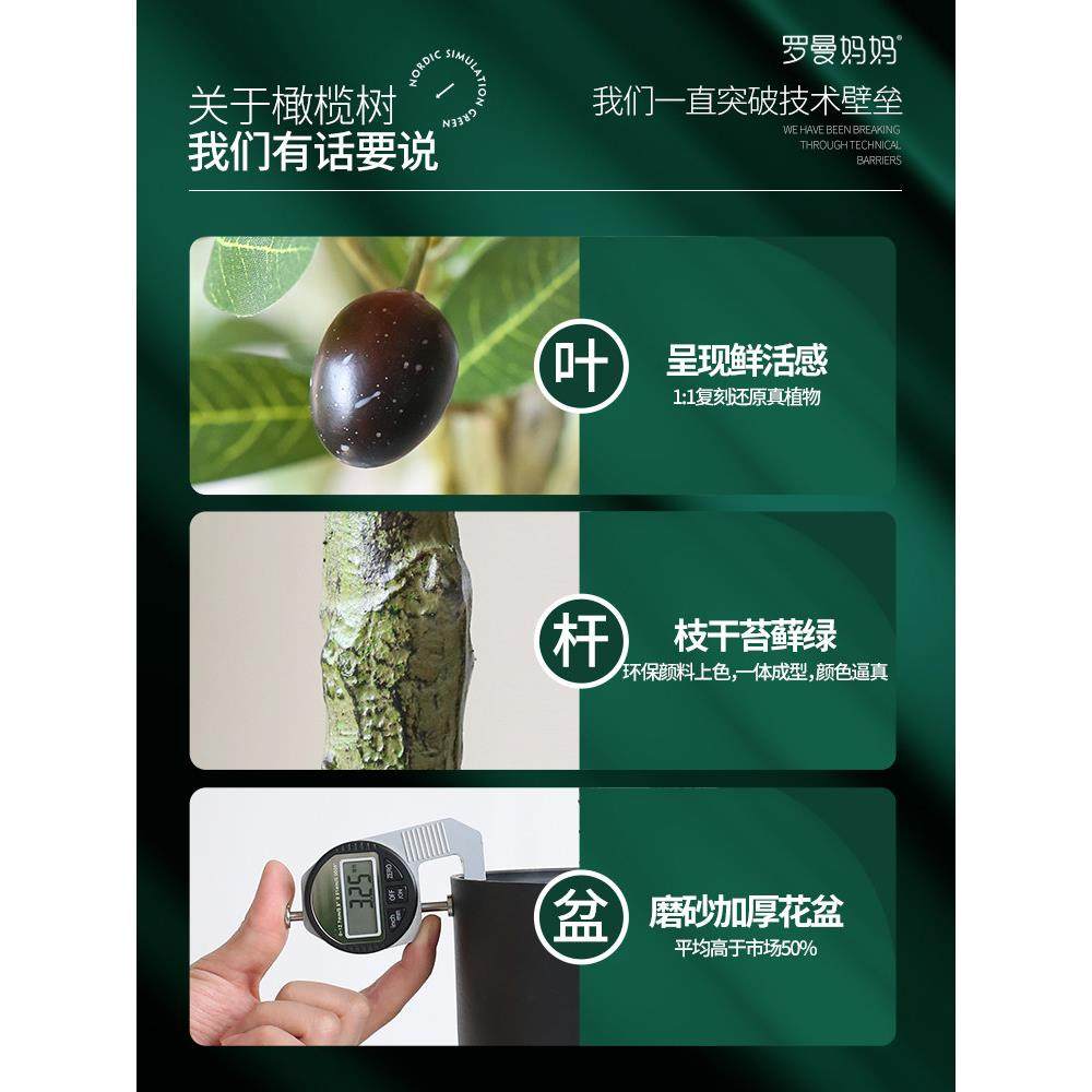 罗曼妈妈北欧ins彷真植物盆栽橄榄树大型客厅植物落地摆件装饰,家居饰品,仿真植物盆景,淘宝优惠券,粉丝福利购,淘宝优惠卷