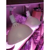 白路履带式 猪肉灯鲜食灯Led蔬菜水果红烧肉店鲜肉海鲜熟食超市灯