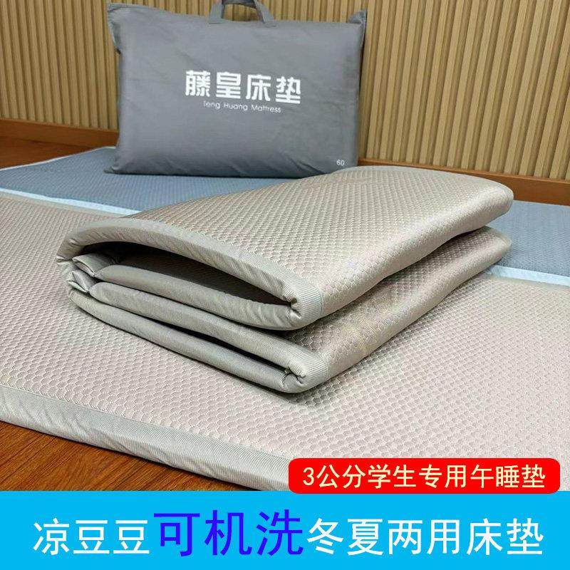 可机洗学生床垫凉感加厚午睡垫四季通用凉感豆豆打地铺神器爬爬垫