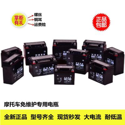 爱普逊摩托车免维护干电瓶12V5a 7a 8a9a12a弯梁踏板三轮YTX7A