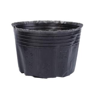 营养钵育苗盆加厚营养杯育苗杯塑料育苗袋一次性营养袋黑色花盆