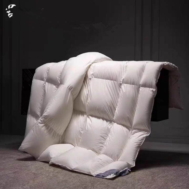 MINE/寐2025新款长绒棉95%格陵兰白鹅绒天丝羽绒被 无垠 商场同款