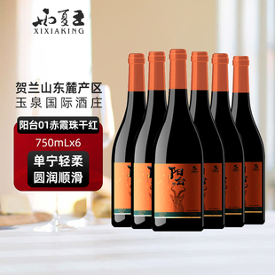 西夏王阳台01赤霞珠干红葡萄酒750ML六支宁夏贺兰山东麓产区