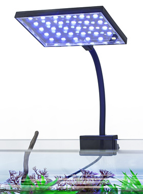 鱼缸灯灯中小型水族灯照明高亮度小缸爆藻灯造景灯水草夹灯1x1x1m