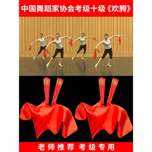 中国舞协考级十级欢腾儿童专用