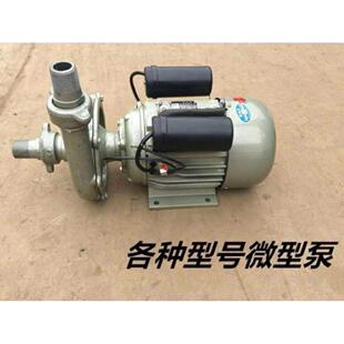 乐山东龙微型离心泵自吸抽水电泵家用农用井水抽水泵220V