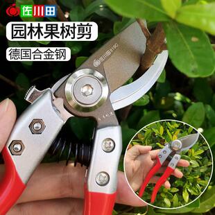 佐川田819C果树修树枝剪剪果枝剪园艺修花剪园林省力修剪粗枝剪刀