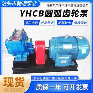 汽油卸车泵抽粪用圆弧不锈钢齿轮泵 厂家供应YHCB圆弧齿轮油泵