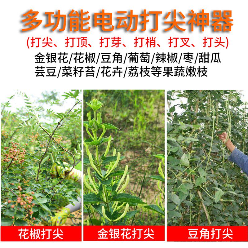 热销逸帆新款电动打尖神器打顶机金银花椒葡萄豆角冬枣打头掐芽锂