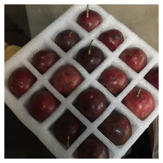 沈阳批发epe珍珠棉水果托盘苹防摔内衬填充泡沫包装材料带托盘