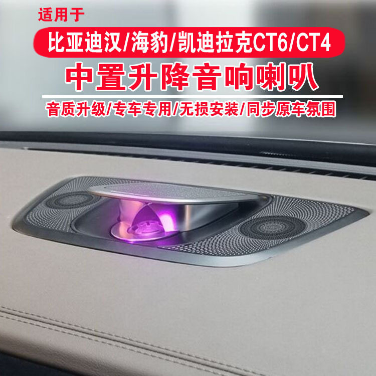 中置音响改装氛围灯比亚迪CT6
