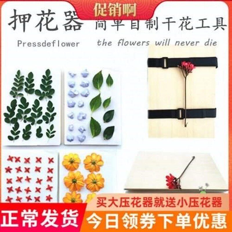 Hand-made lavender flowers baby plant decoration set gift