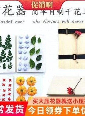 Hand-made lavender flowers baby plant decoration set gift