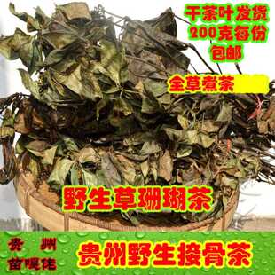 新疆包邮包邮贵州野生接骨茶乾货草珊瑚肿节风九节风农家土产药食