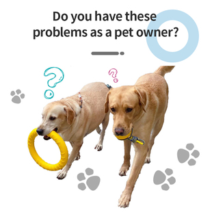 Ball Pet Training EVA Bite Chew Puppy Resistant Dog