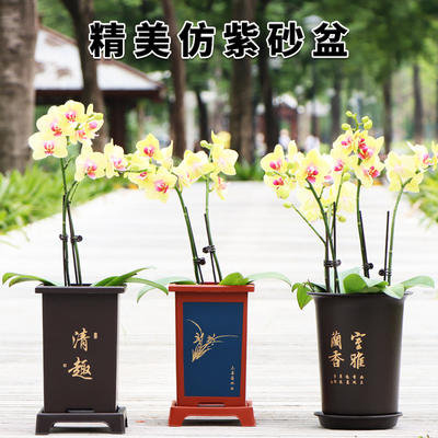 兰花盆专用盆大号仿紫砂塑料控根加厚透气墨兰蝴蝶兰国兰君子兰盆