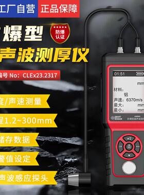 （SMARTSENSOR）AM860防爆型金属塑料玻璃钢板超声波测厚仪