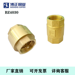 止回阀止逆阀4分 厂家直销博正铜业全铜单向阀逆止阀水管立式 4寸