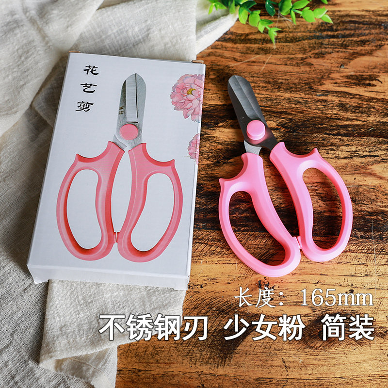 花艺剪刀花剪插花专用工具日本园艺家用修剪疏花打刺修枝鲜花剪梳