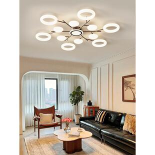 客厅主灯吸顶灯2025新款法式中古风感大厅主灯主卧室护眼灯