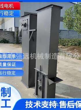 TH250水泥环链斗式提升机 沙子垂直送料机 自动卸料喂料机