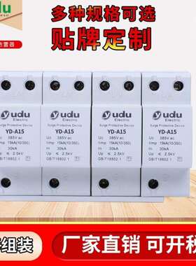 上海誉度一级浪涌保护器单相家用2P三相电源防雷器4P40KA电垒德株