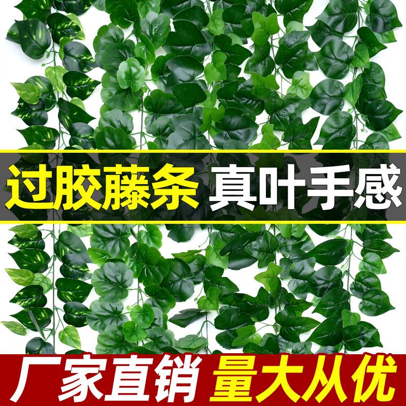 绿植物假树叶绿萝葡萄爬山虎藤蔓过胶绿叶吊顶装饰铁丝藤条真