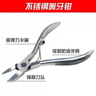 小猪剪牙钳仔猪断牙牙剪兽用猪用剪牙器仓鼠不锈钢兔子斜口齿剪子