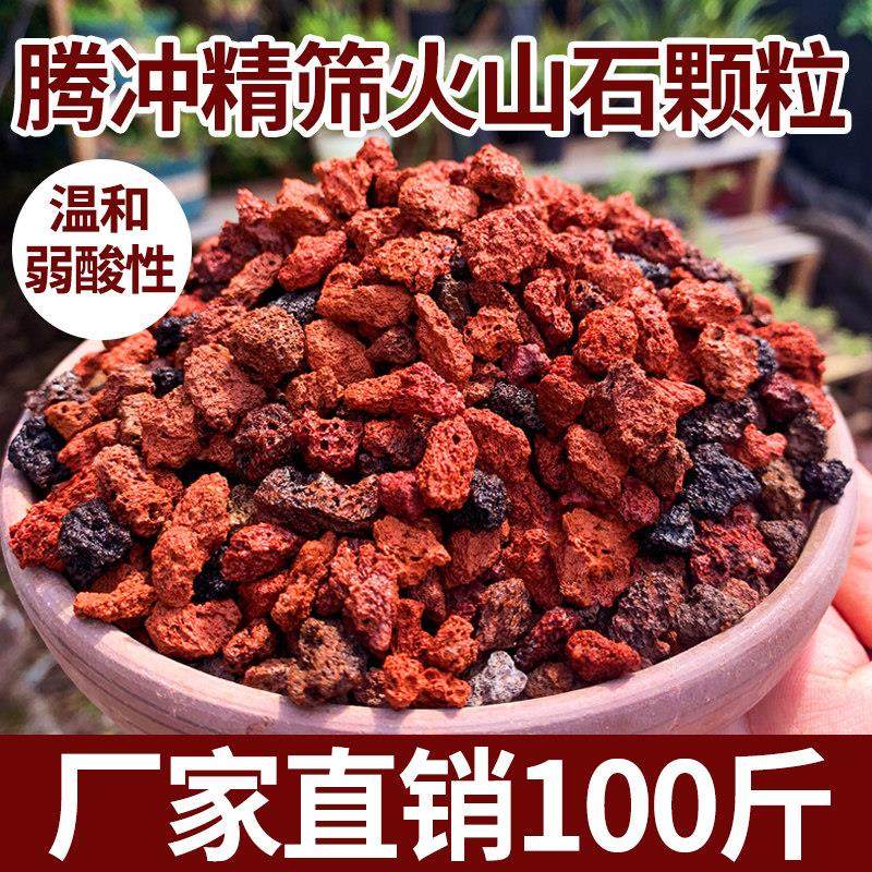 天然火山石颗粒100斤腾冲精筛黑红火山岩多肉铺面花园营养土鱼缸,鲜花速递/花卉仿真/绿植园艺,介质/营养土,淘宝优惠券,粉丝福利购,淘宝优惠卷