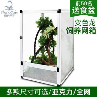 爬宠网箱高冠七彩雨林蜥蜴宠物爬虫箱奥水蜥蜴饲养箱爬宠箱通风透