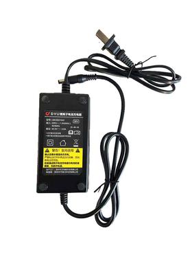 dyu大鱼电动车自行车锂电池线D1/D2/D2+/D3+/S2/V1原装正品充电器