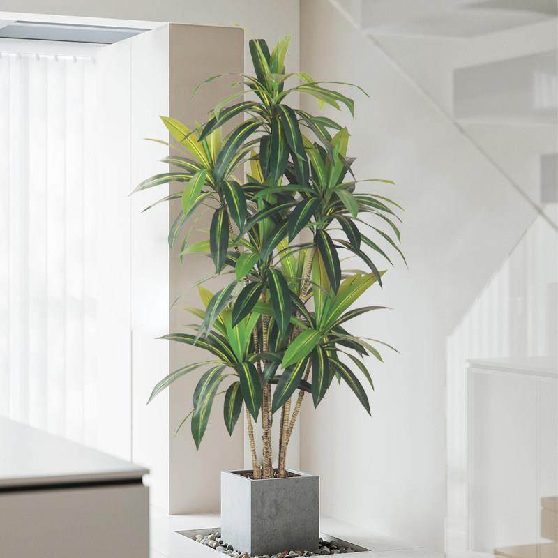 北欧ins风仿真绿植巴西木盆栽假植物盆景室内客厅落地装饰造景,家居饰品,仿真植物盆景,淘宝优惠券,粉丝福利购,淘宝优惠卷