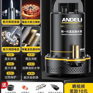 抽水泵家用小型抽水机农用灌溉电动车水泵 直流潜水泵12V24V电瓶式