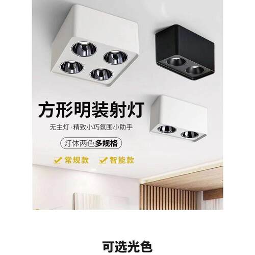 单头双头三头四格栅表面安装聚光灯全光谱防眩光客厅卧室开口聚光