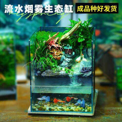 超白玻璃鱼缸流水烟雾生态缸桌面微景观植物造景装饰两栖生态雨林