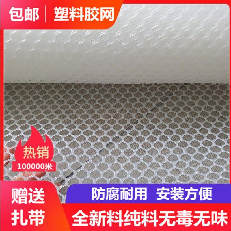 整卷塑料养殖网 加厚育雏胶网鸡鸭鹅脚垫漏粪网床 小孔养蜂养蚕网