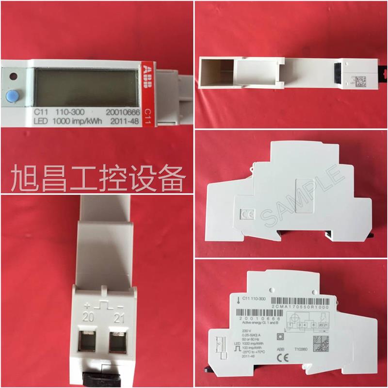 2023电能表 C11110-300 C11 110-300 C11