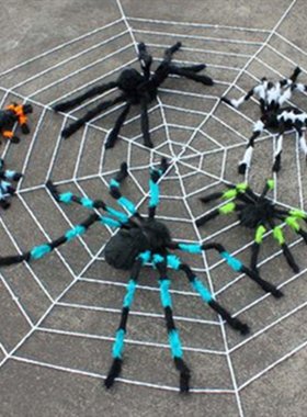 Halloween Spiders Web SpiderWeb Cobweb Halloween bar haunt