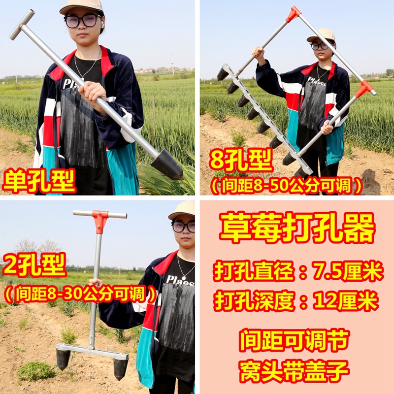 销农民干活神器种葱种草莓栽苗器打孔种植小型机器叉子打眼打窝种