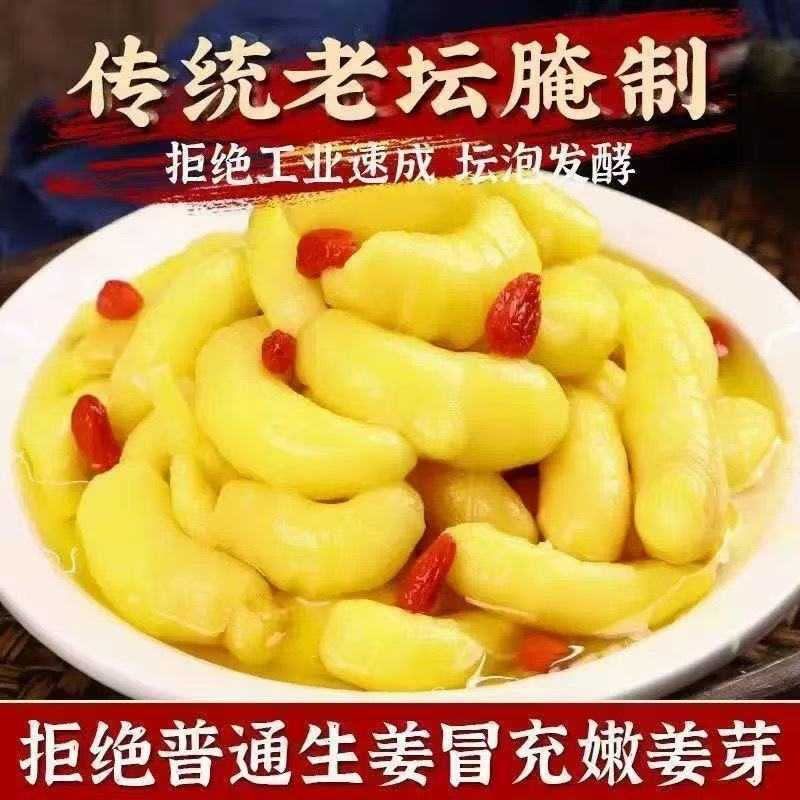 存轩堂山东淄博枸杞泡姜芽嫩姜牙酸甜姜芽糖醋生姜片泡菜五谷养生