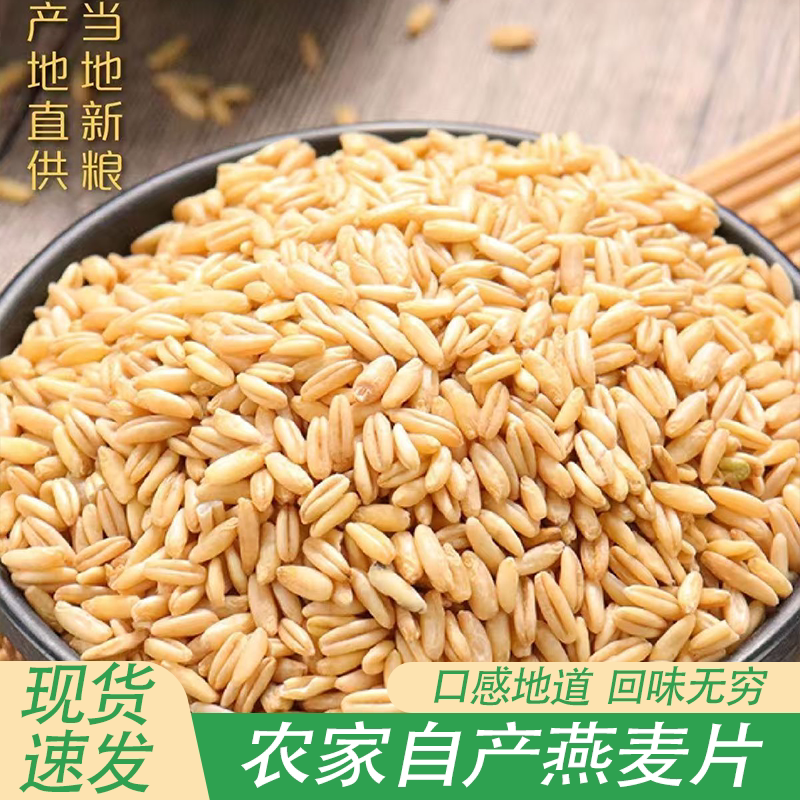 新鲜农家自产燕麦米燕麦仁颗粒饱满口感劲道麦香浓郁软糯有嚼劲