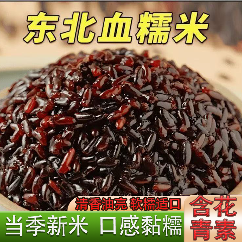 东北农家自产新货黑糯米血糯米软糯适口粒粒饱满蒸饭熬粥可包粽子