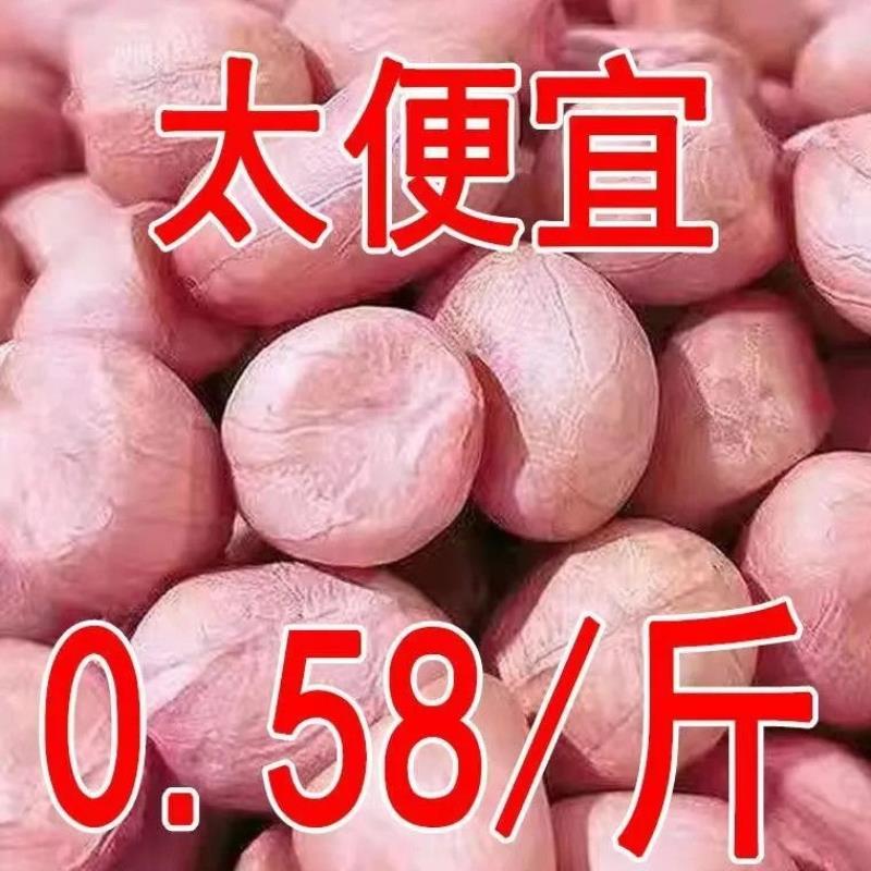 【5斤特价包邮】现剥新花生米新货粉皮新鲜大粒榨油白沙花生10g