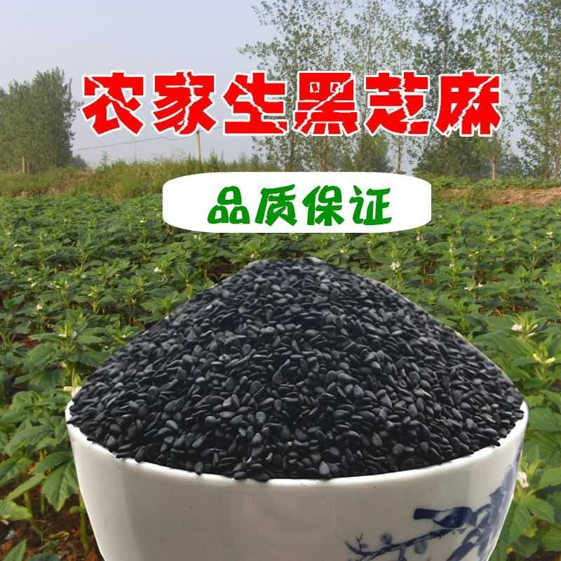 精选黑芝麻生油麻25年带皮驻马店新货天然无染色农家白芝麻熟无沙